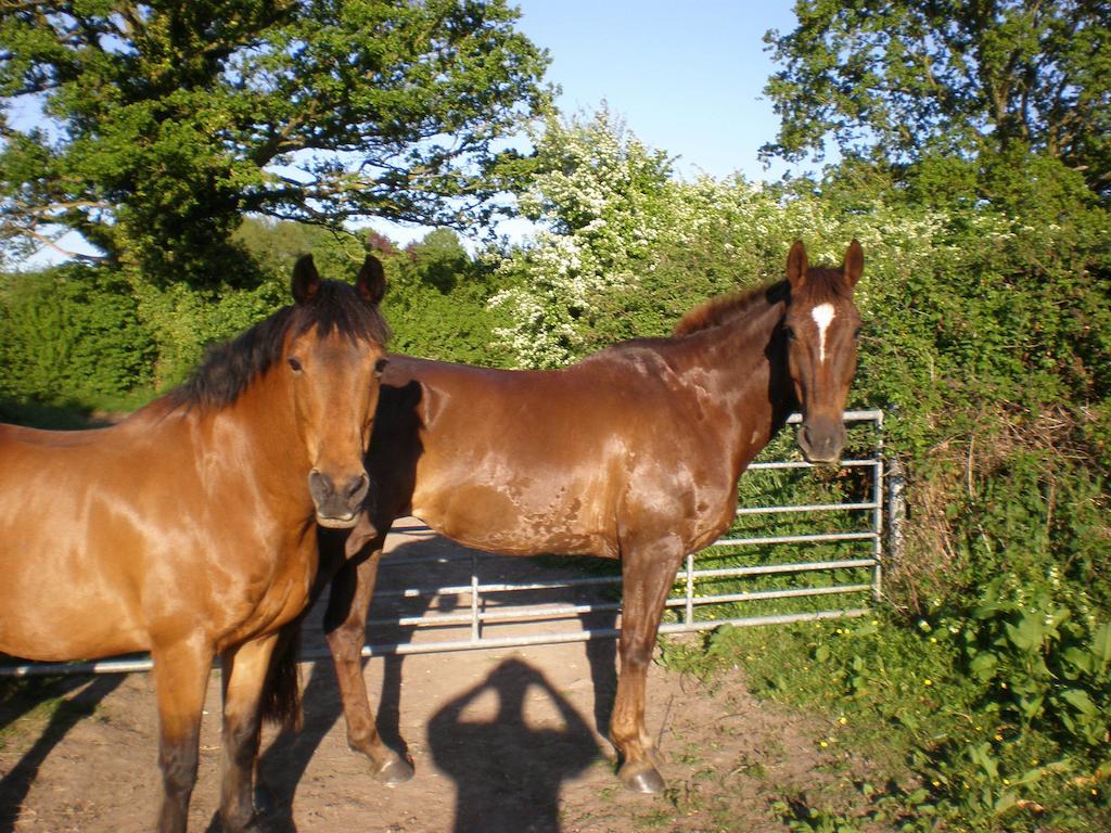 Austons Down Farm B&B Claverdon Buitenkant foto