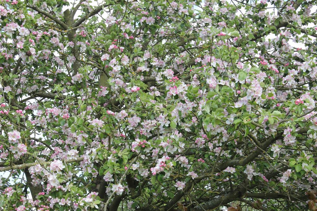 Austons Down Farm B&B Claverdon Buitenkant foto