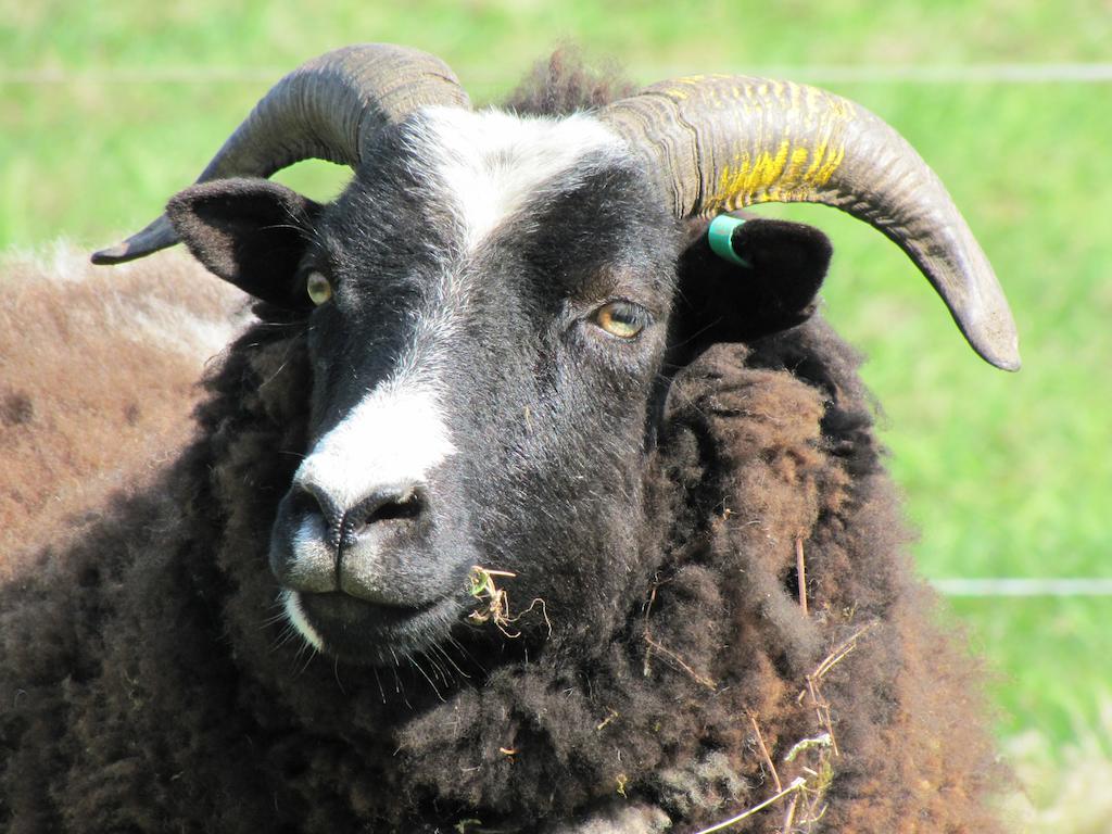 Austons Down Farm B&B Claverdon Buitenkant foto