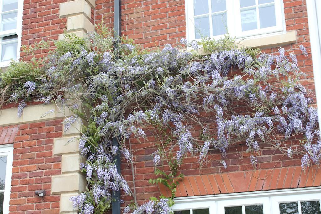 Austons Down Farm B&B Claverdon Buitenkant foto